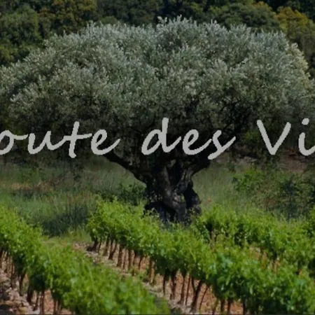 Olympe De Provence Villa *